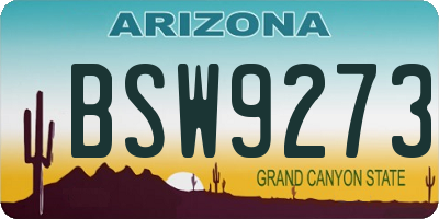 AZ license plate BSW9273