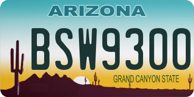 AZ license plate BSW9300