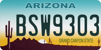 AZ license plate BSW9303