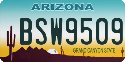 AZ license plate BSW9509