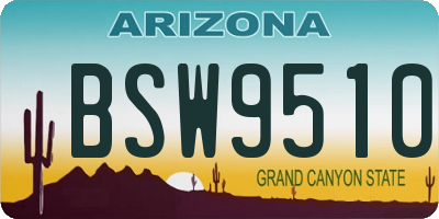 AZ license plate BSW9510