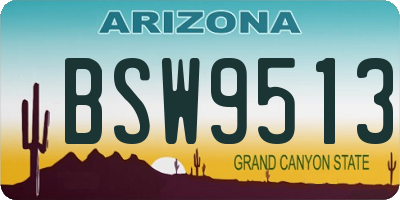 AZ license plate BSW9513