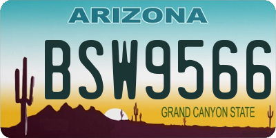 AZ license plate BSW9566