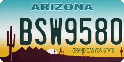 AZ license plate BSW9580