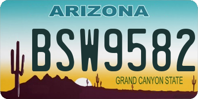AZ license plate BSW9582