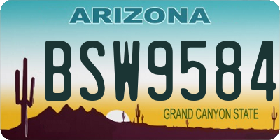 AZ license plate BSW9584