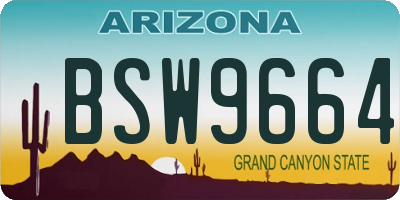 AZ license plate BSW9664