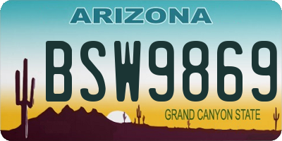 AZ license plate BSW9869