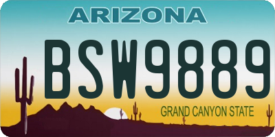 AZ license plate BSW9889