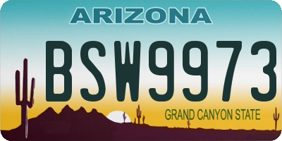 AZ license plate BSW9973