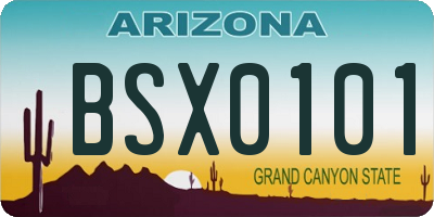 AZ license plate BSX0101