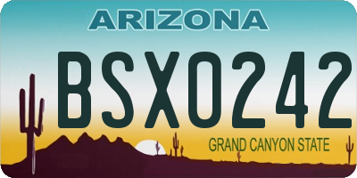 AZ license plate BSX0242