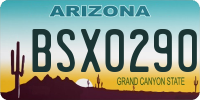 AZ license plate BSX0290