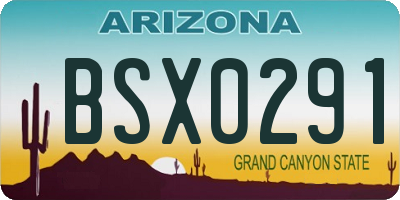AZ license plate BSX0291
