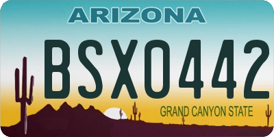 AZ license plate BSX0442