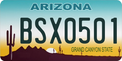 AZ license plate BSX0501