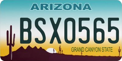 AZ license plate BSX0565