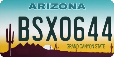 AZ license plate BSX0644