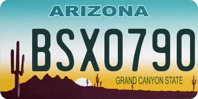 AZ license plate BSX0790