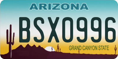 AZ license plate BSX0996