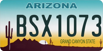 AZ license plate BSX1073
