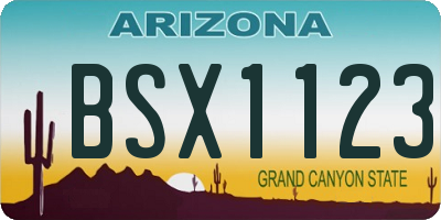 AZ license plate BSX1123