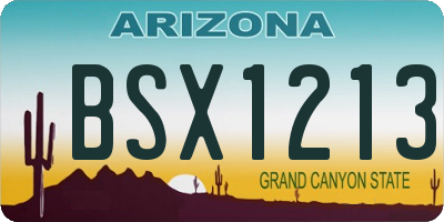 AZ license plate BSX1213