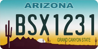 AZ license plate BSX1231