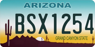 AZ license plate BSX1254