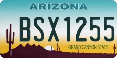 AZ license plate BSX1255