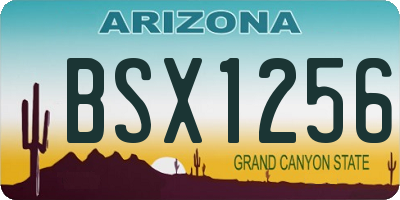 AZ license plate BSX1256