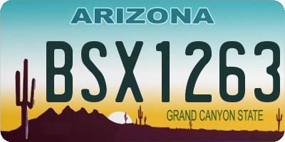 AZ license plate BSX1263