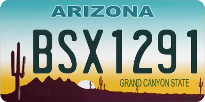 AZ license plate BSX1291