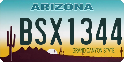 AZ license plate BSX1344