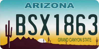 AZ license plate BSX1863