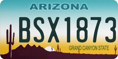 AZ license plate BSX1873