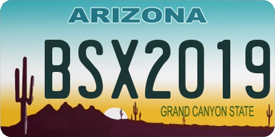 AZ license plate BSX2019