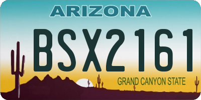 AZ license plate BSX2161