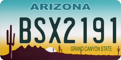 AZ license plate BSX2191