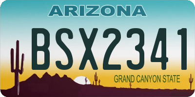 AZ license plate BSX2341