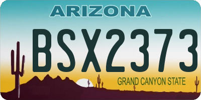 AZ license plate BSX2373