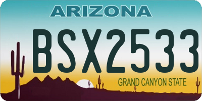 AZ license plate BSX2533