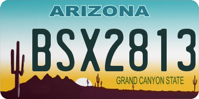 AZ license plate BSX2813