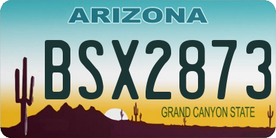 AZ license plate BSX2873