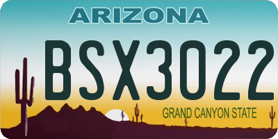 AZ license plate BSX3022