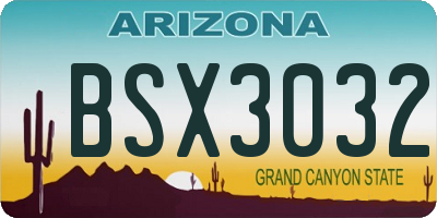 AZ license plate BSX3032