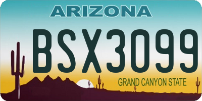 AZ license plate BSX3099