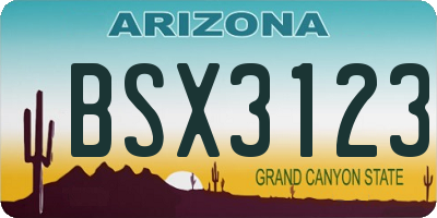 AZ license plate BSX3123