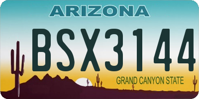 AZ license plate BSX3144
