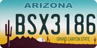 AZ license plate BSX3186